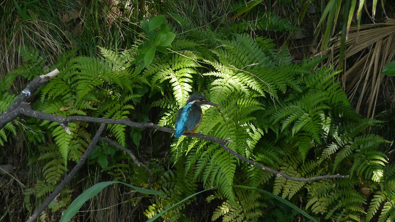 a0185081_13304930.jpg