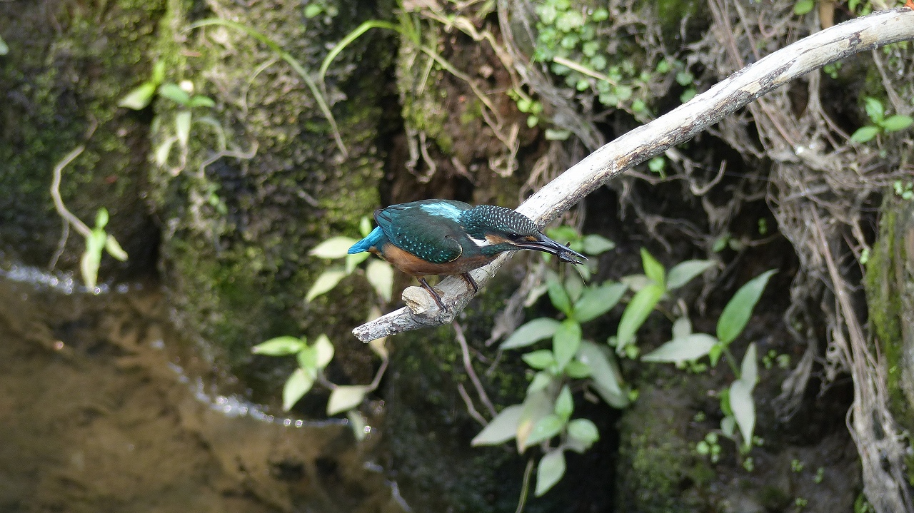 a0185081_133237.jpg