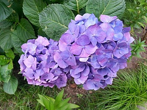 c0096685_22064470.jpg