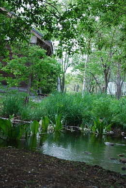 a0133886_1635864.jpg