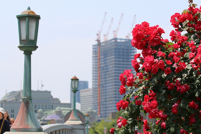 b0190092_2152399.jpg