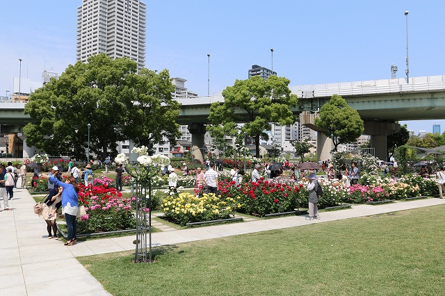 b0190092_21531237.jpg
