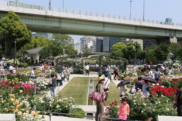 b0190092_21531939.jpg