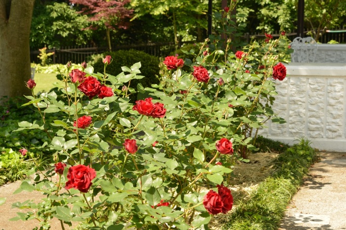 f0268294_02272154.jpg