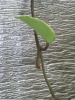 c0149195_1913947.jpg