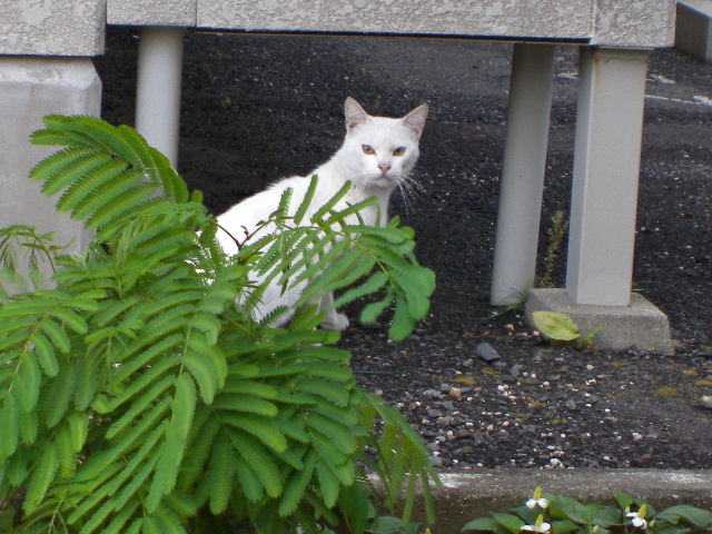 a0199297_18191585.jpg