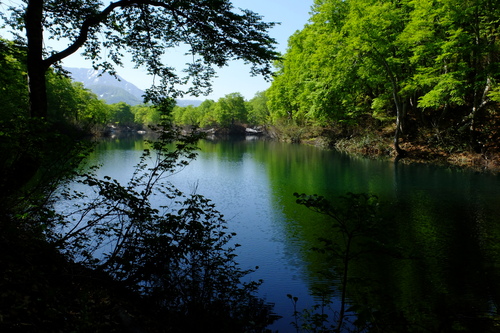e0304001_10574458.jpg