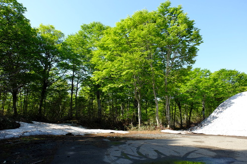 e0304001_1113394.jpg