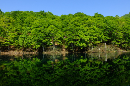 e0304001_1141740.jpg