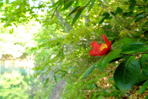 e0304001_117984.jpg