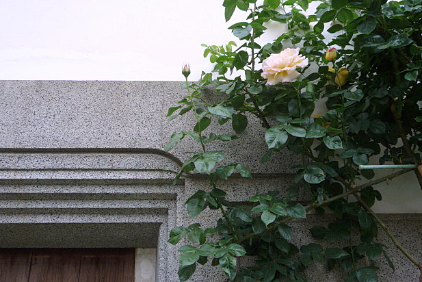 a0214206_19515729.jpg