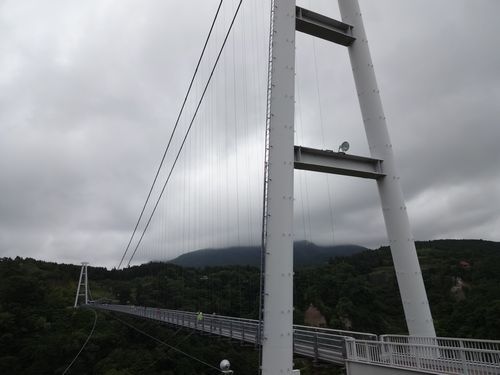 b0061107_13401857.jpg