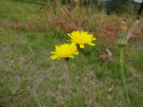 b0061107_13432100.jpg