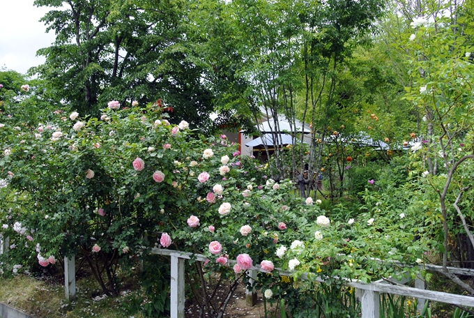 d0179113_00220321.jpg