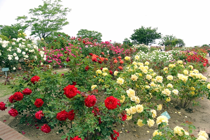 d0179113_00221735.jpg