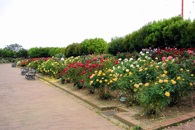 d0179113_00230340.jpg