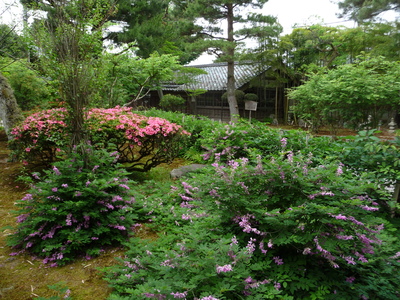e0135219_1330325.jpg