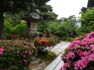e0135219_1331150.jpg