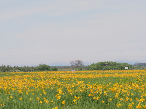 b0147224_2122553.jpg