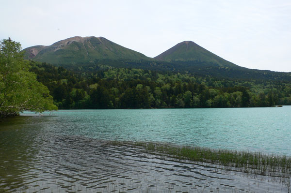 a0046429_1048742.jpg