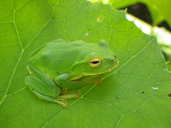 f0118332_23142089.jpg