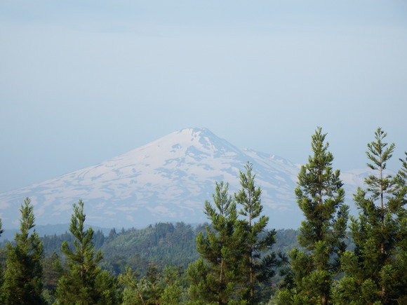 f0118332_238573.jpg