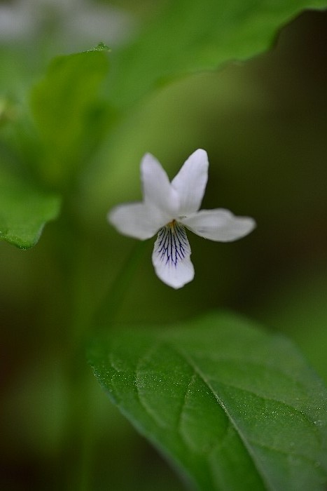 b0236334_20372765.jpg