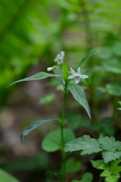 b0236334_20373979.jpg
