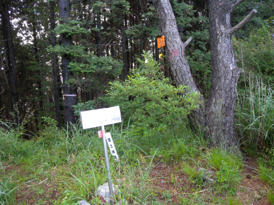e0272335_21101781.jpg