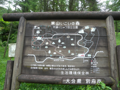 e0272335_2149213.jpg