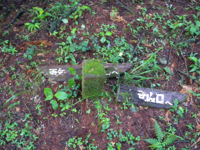 e0272335_2175527.jpg