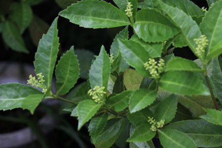 c0068639_228114.jpg