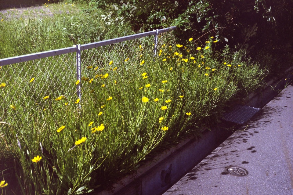 d0089742_0144680.jpg