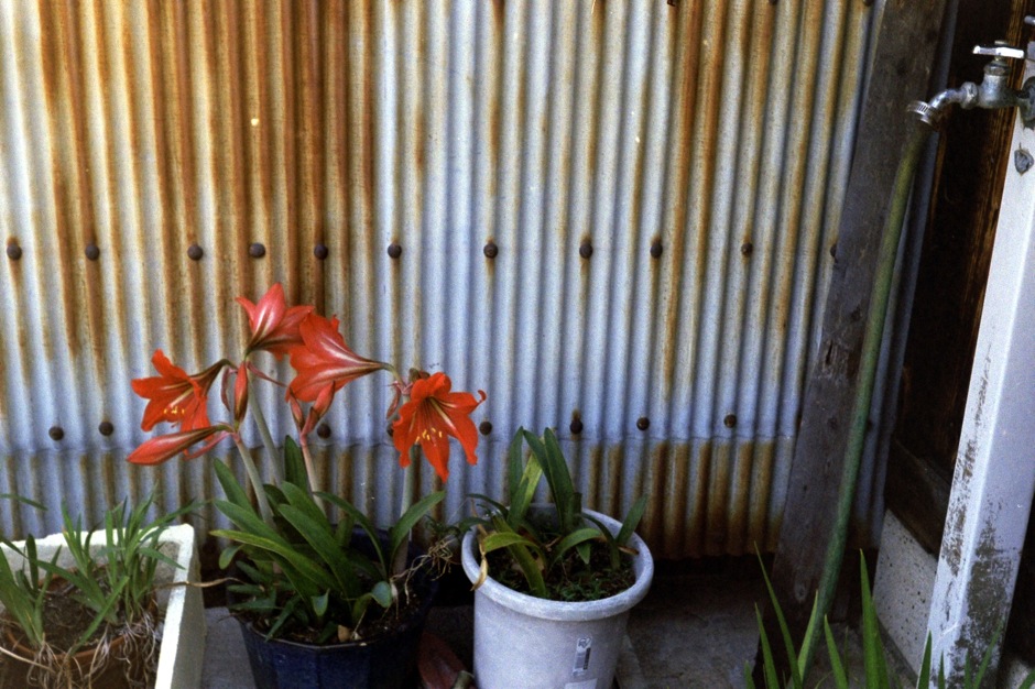 d0089742_021087.jpg