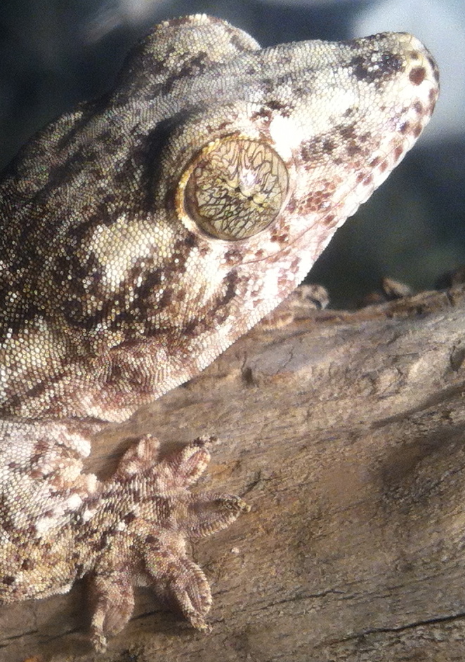 e0252746_923658.jpg