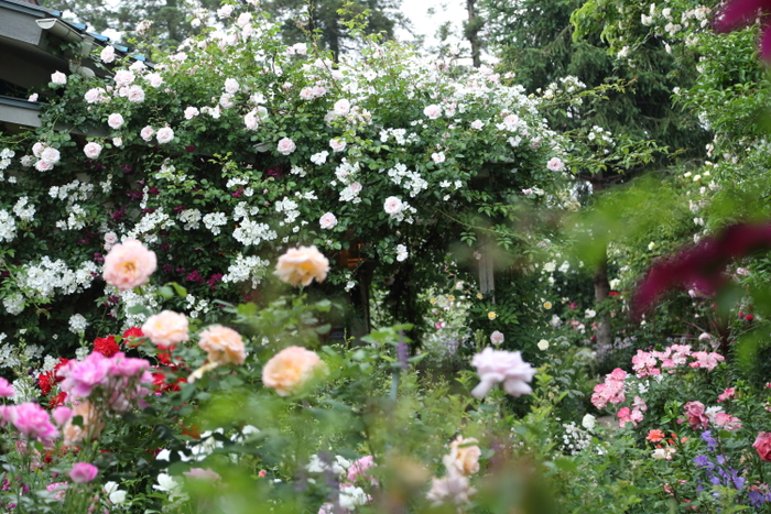 a0258549_04203.jpg