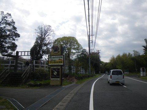 f0046250_0334565.jpg