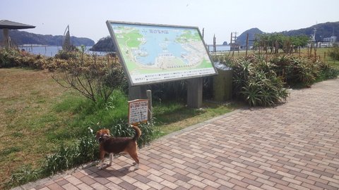 f0046250_1172561.jpg