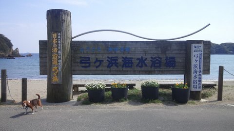 f0046250_250771.jpg