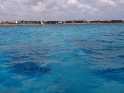 e0184067_15331061.jpg