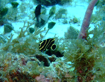 e0184067_15334512.jpg
