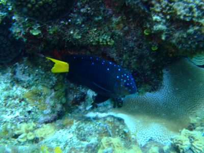 e0184067_1534591.jpg