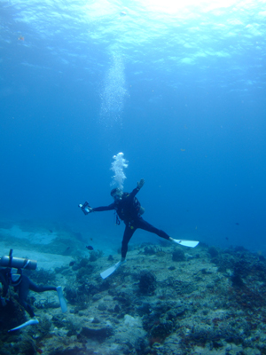e0184067_1536139.jpg