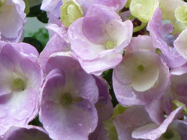 e0278968_20260034.jpg