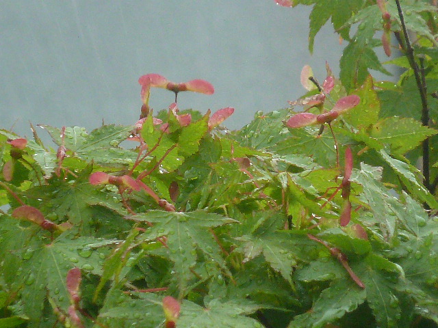e0278968_20272587.jpg