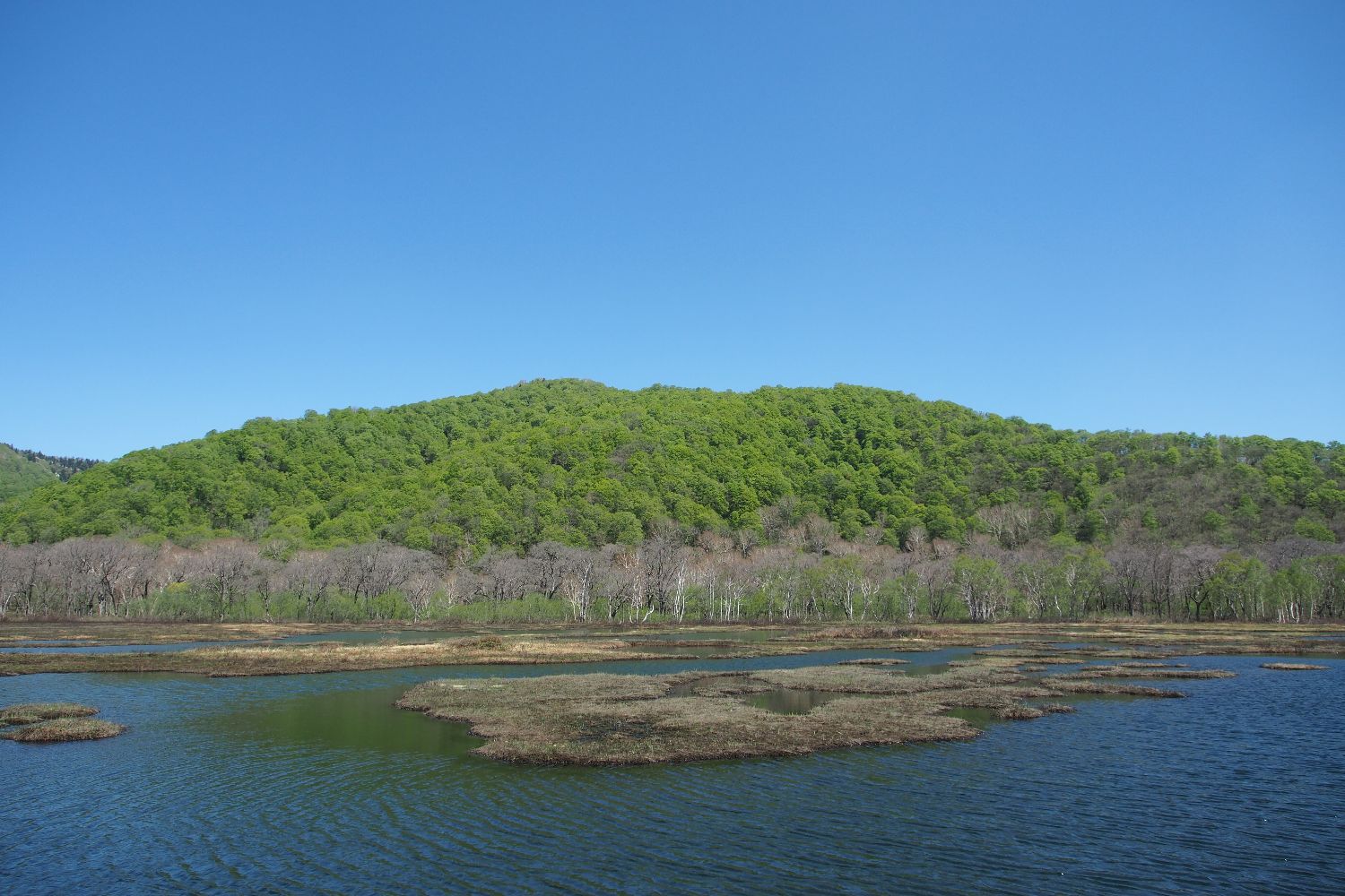 e0307372_16401509.jpg