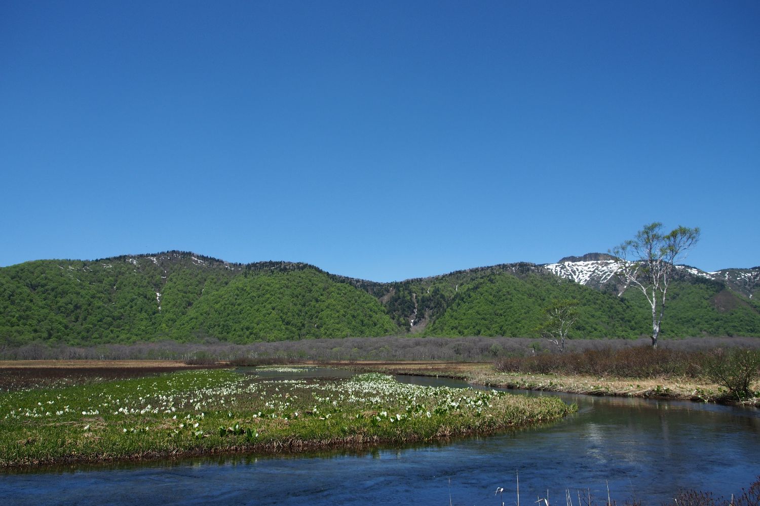 e0307372_16531338.jpg