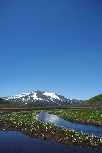 e0307372_17081477.jpg