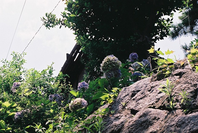 f0234172_1545912.jpg