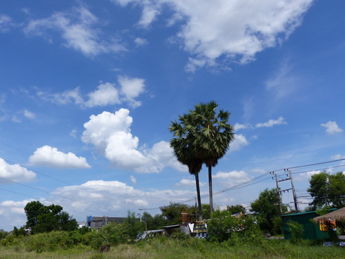 a0002177_1731654.jpg